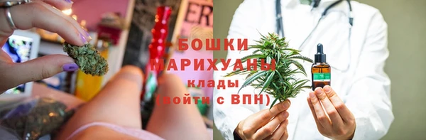 сатива Россошь