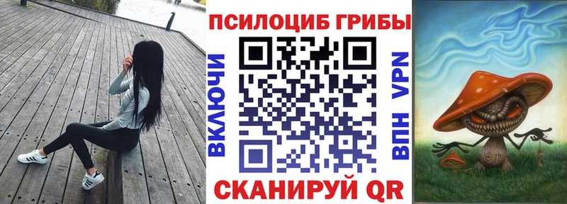 Галлюциногенные грибы Psilocybe  omg зеркало  Хвалынск  где можно купить  