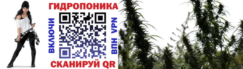 Конопля план blacksprut рабочий сайт Хвалынск